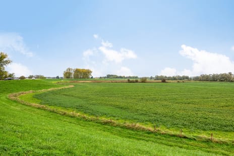 Paddepoel 5 tertiary image