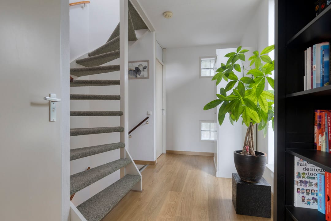 Foto 23 van Jacob Obrechtlaan 29