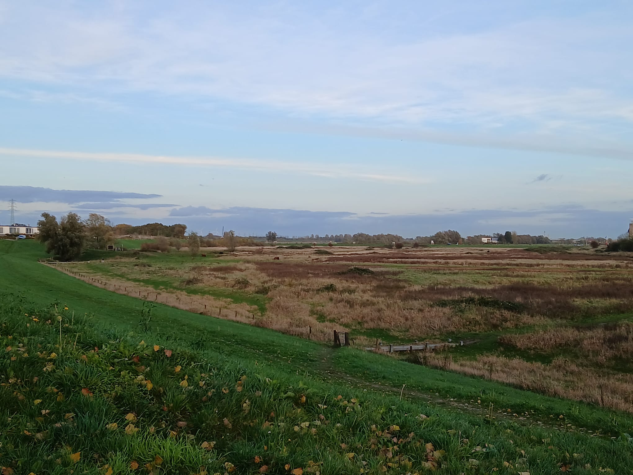 Foto 33 van Lijsterstraat 14