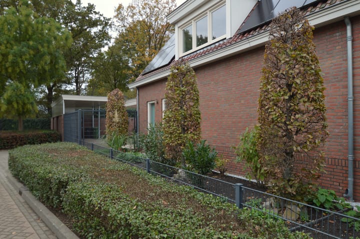 Foto 33 van Wilgenhof 74