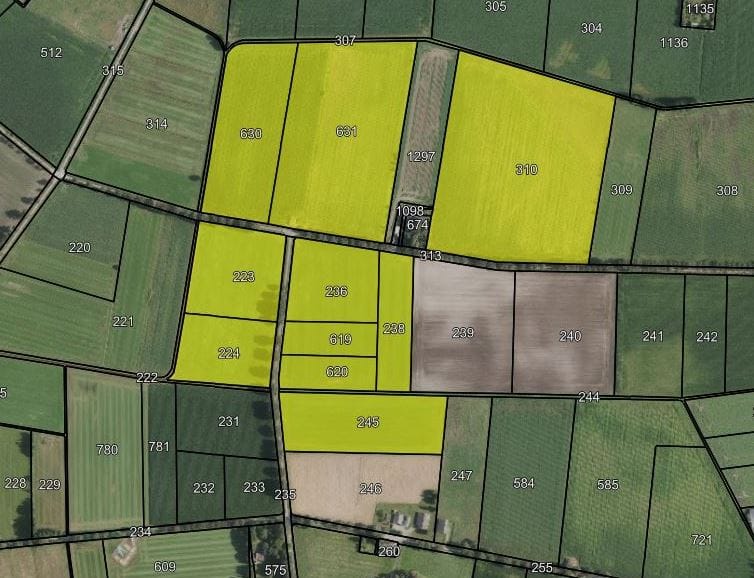 Bekijk foto 1 van Broenenhoup/Casseweg