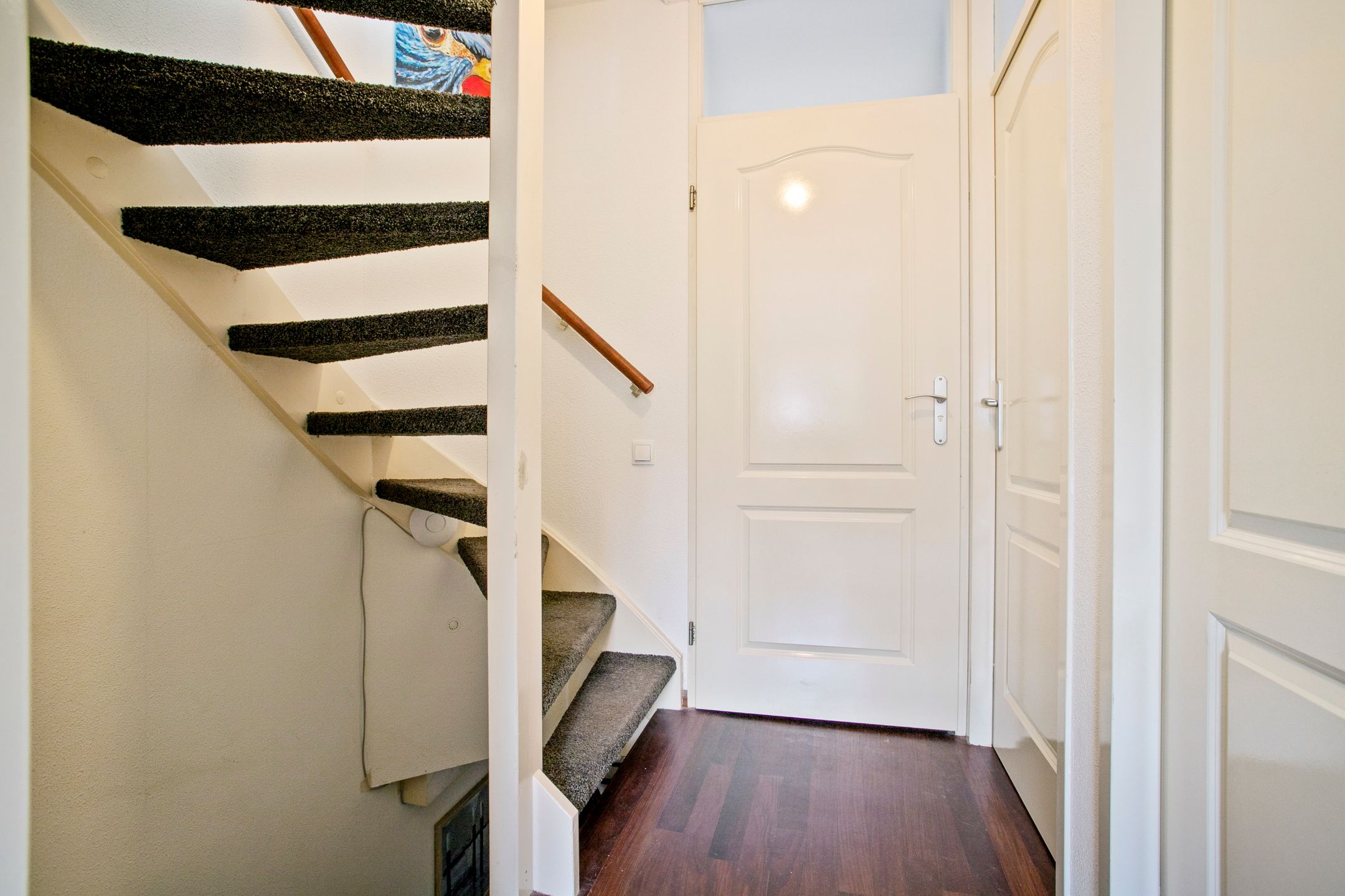 Photo 9 of Roerdomp 27