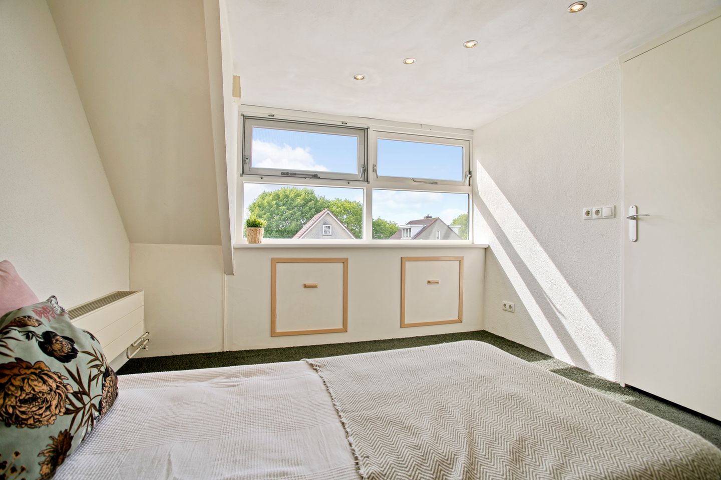 Photo 19 of Roerdomp 27