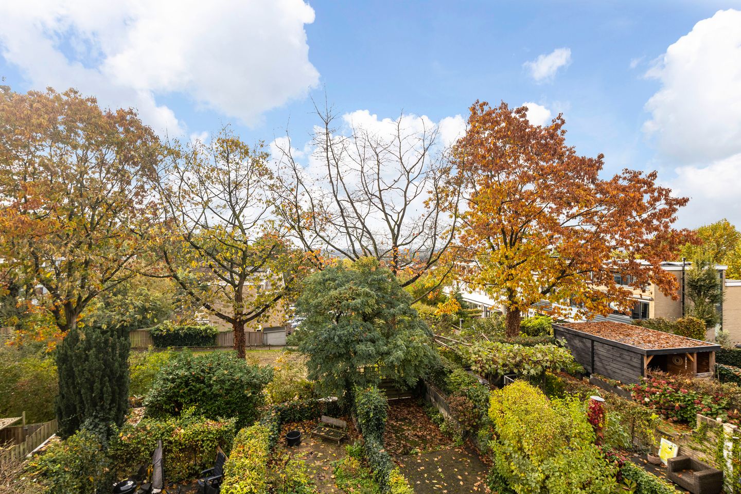 Foto 25 van Molenberg 13