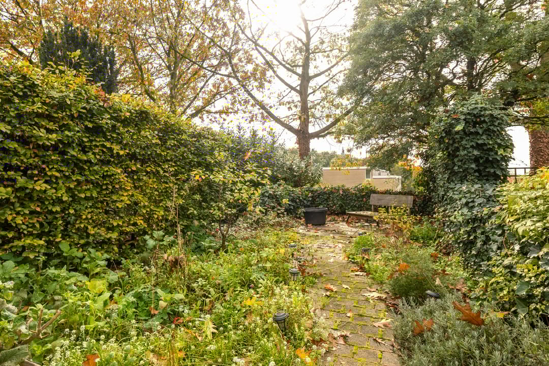 Foto 31 van Molenberg 13