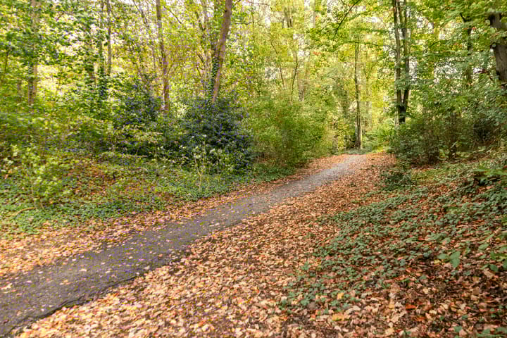 Foto 41 van Molenberg 13