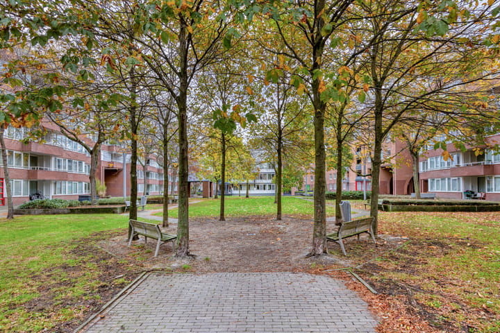 Photo 27 of Stellalunet 34-B