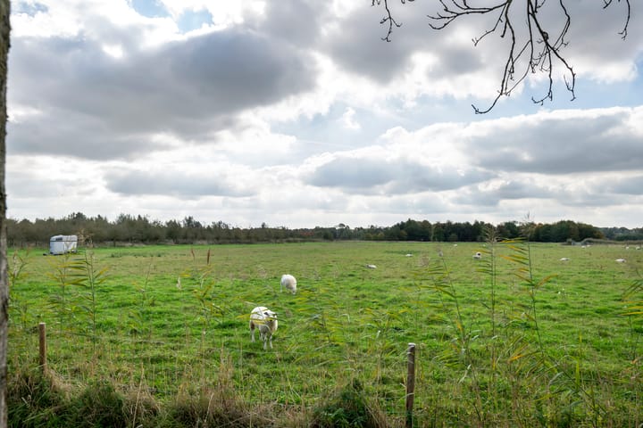 Photo 4 of Spijkse Kweldijk 104-C