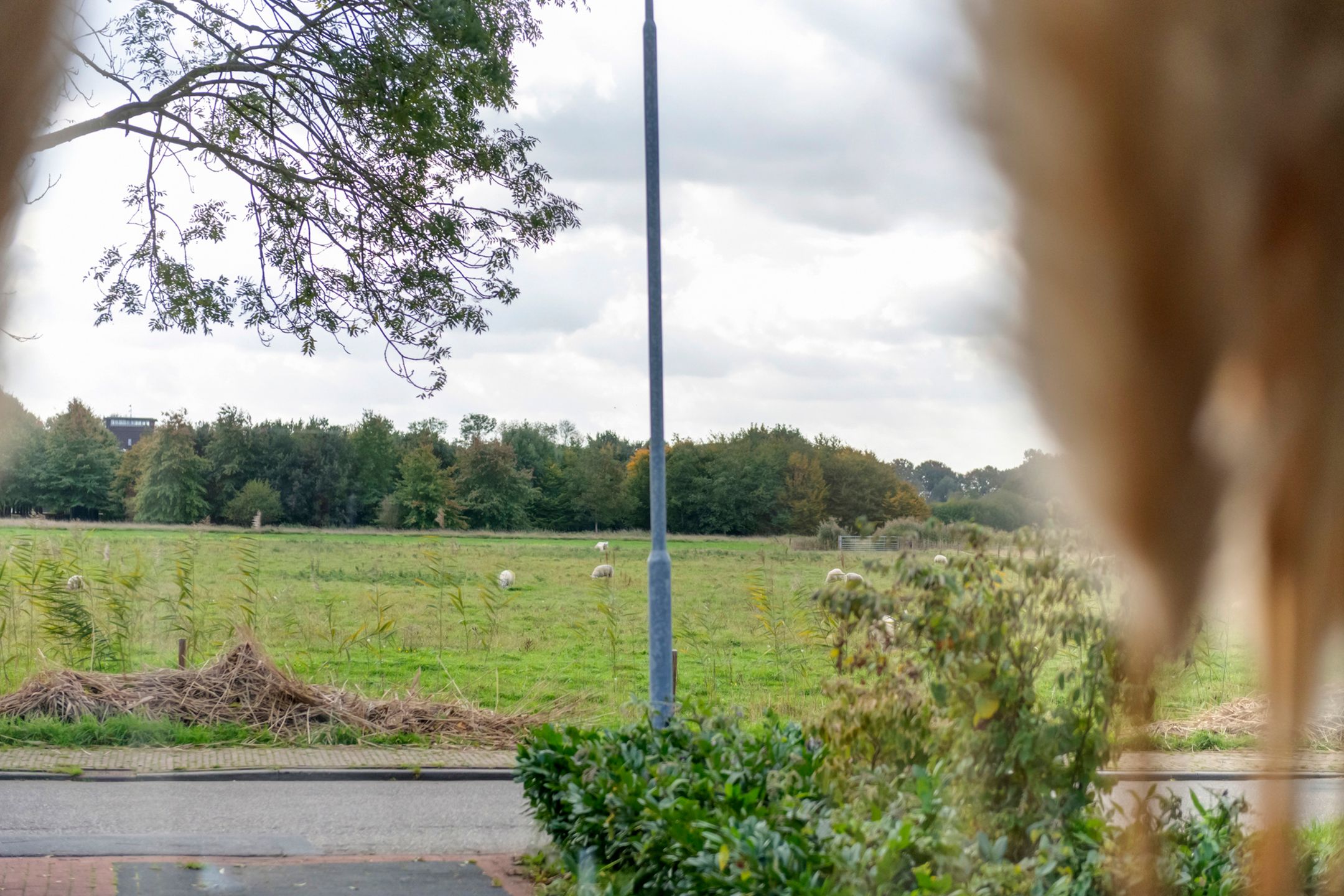 Photo 15 of Spijkse Kweldijk 104-C