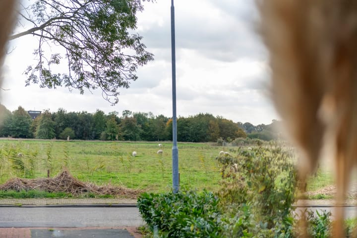 Photo 15 of Spijkse Kweldijk 104-C