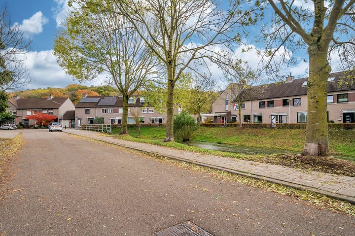 Foto 45 van Ambrosiuslaan 41