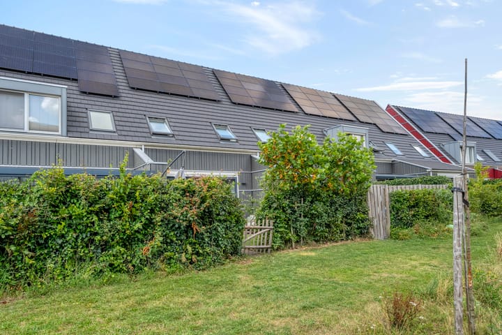 Foto 37 van Cichoreimolen 37