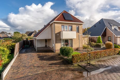 undefined main image