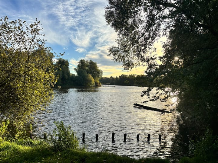 Foto 60 van Albatroslaan 249