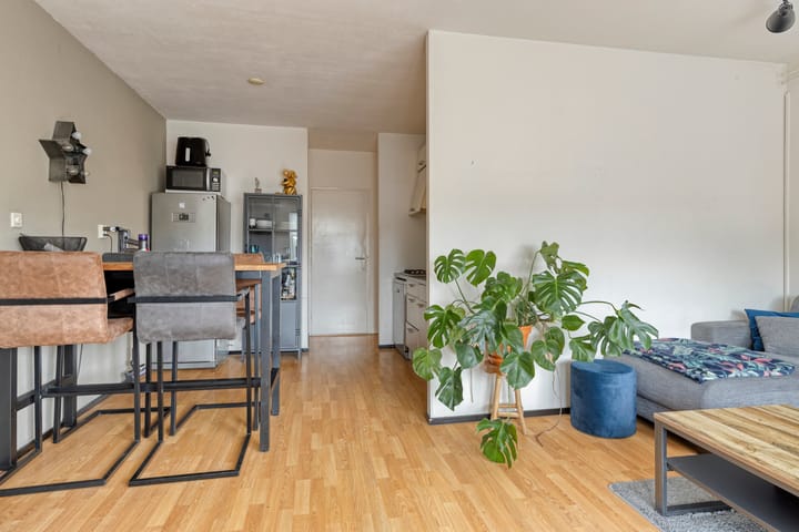 Foto 10 van Waterman 31