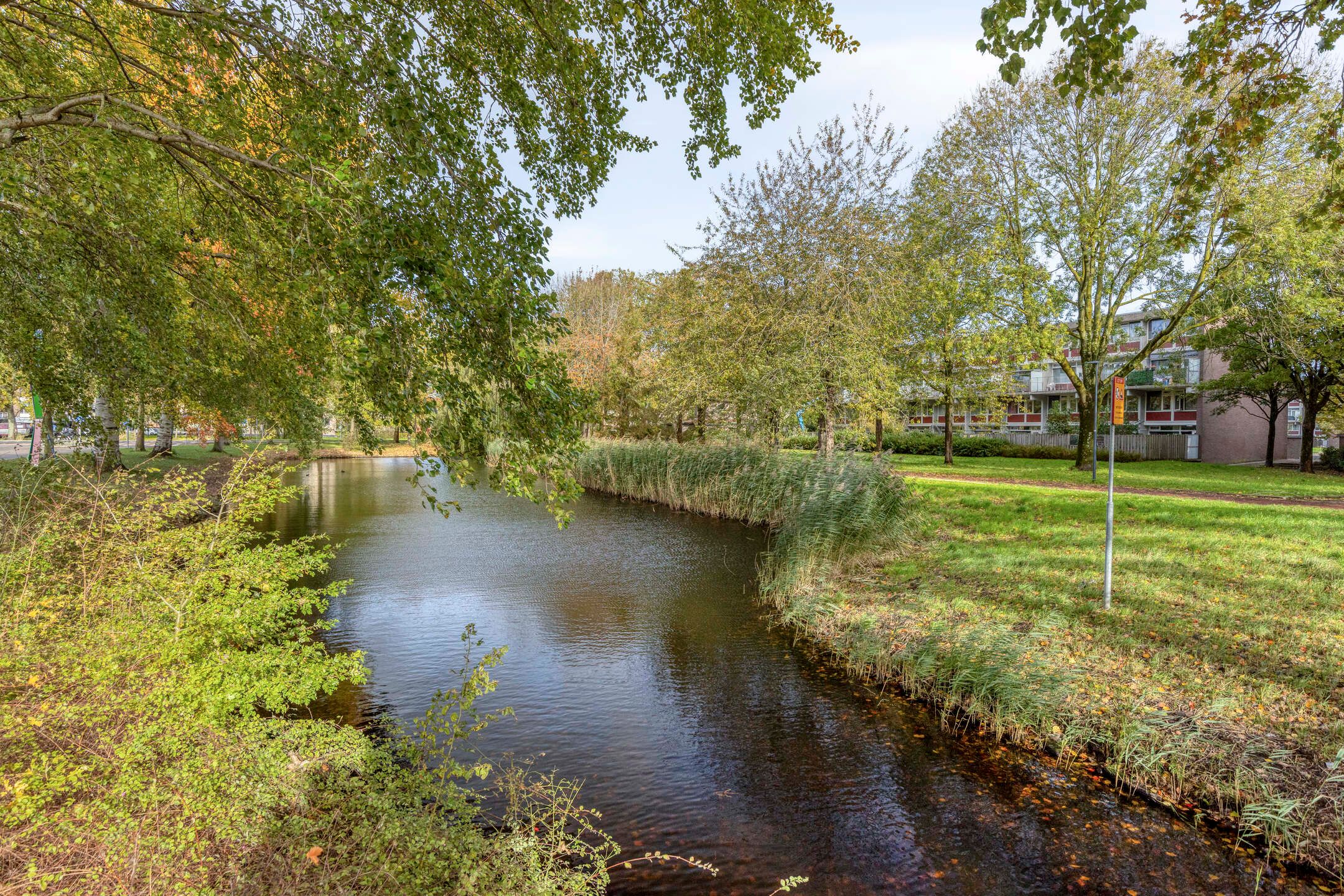 Foto 18 van Waterman 31