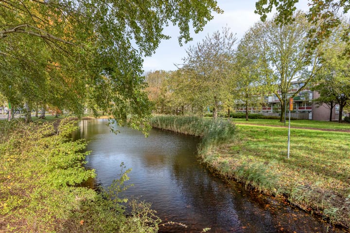 Foto 18 van Waterman 31