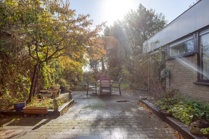 Photo 21 of Stoutenburg 23