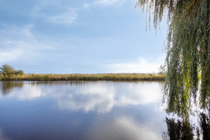 Photo 36 of Stoutenburg 23