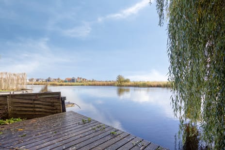 Stoutenburg 23 secondary image