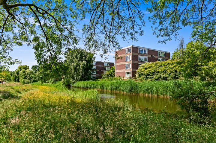 Photo 46 of Johannes van Bijnenstraat 20