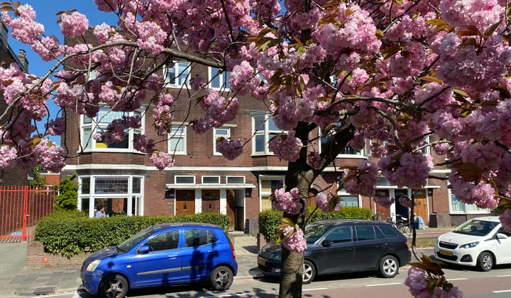 Foto 3 van J.C. Kapteynlaan 13