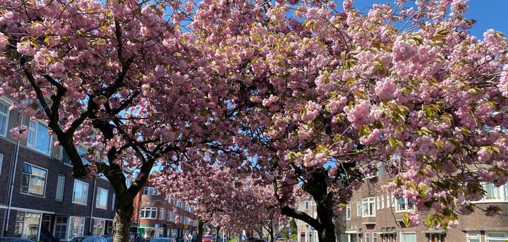 Foto 23 van J.C. Kapteynlaan 13