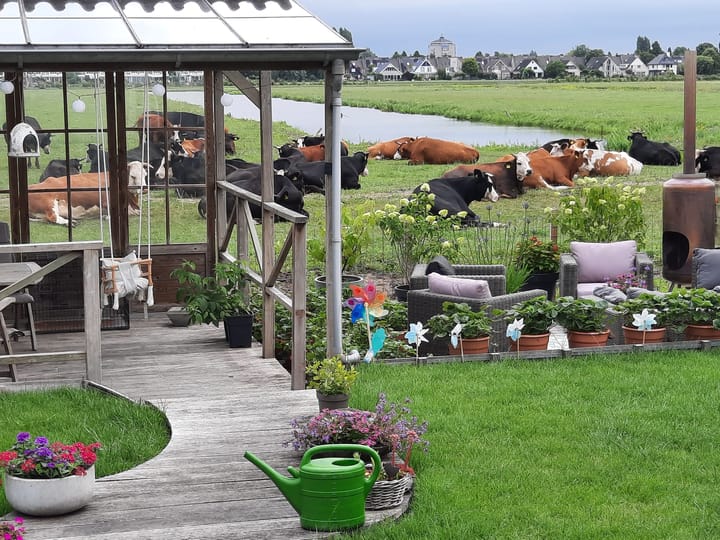 Foto 6 van Hooilaan 14