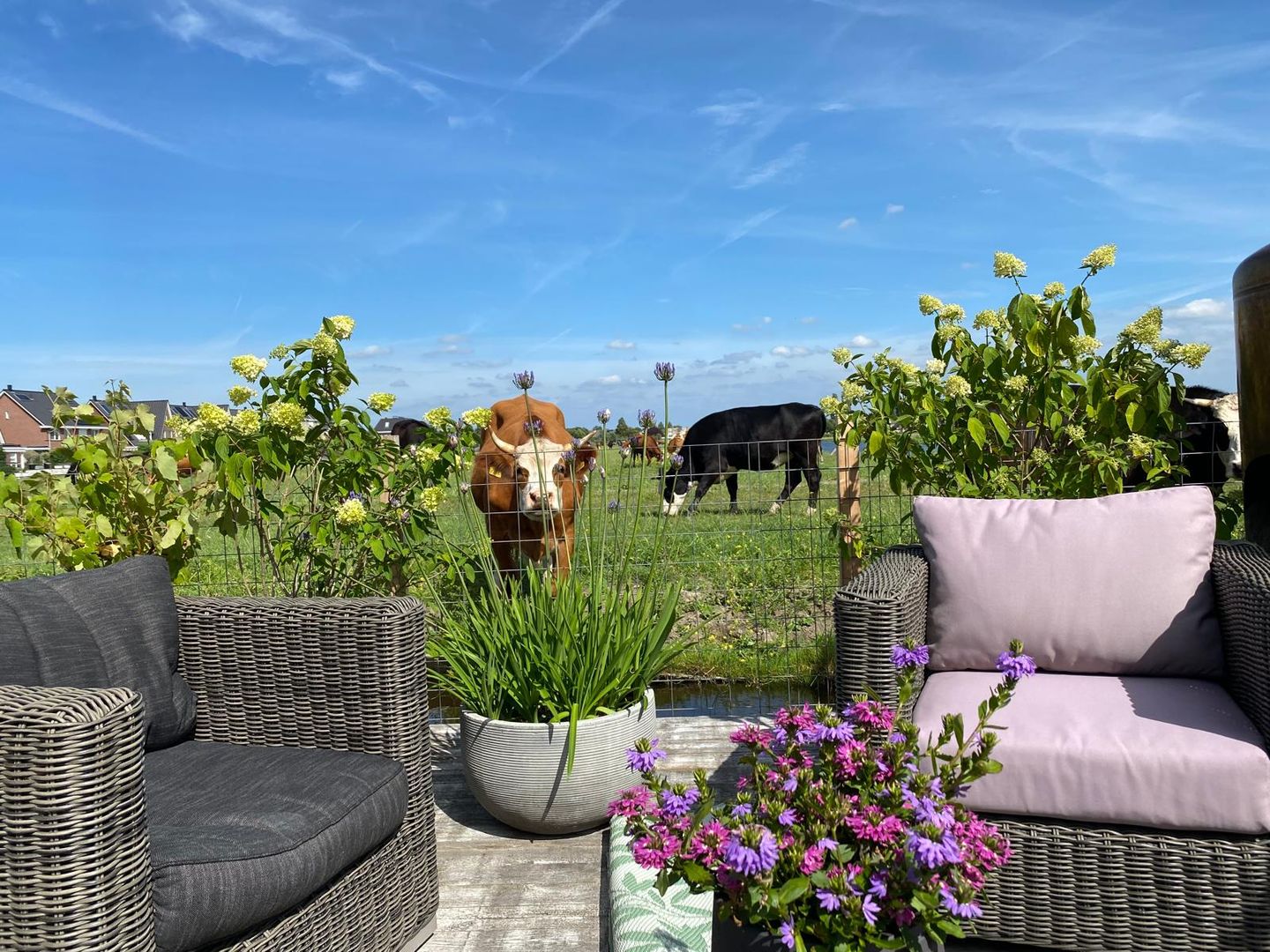 Foto 64 van Hooilaan 14