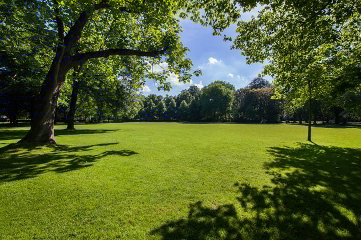 Foto 40 van Govert Flinckstraat 2