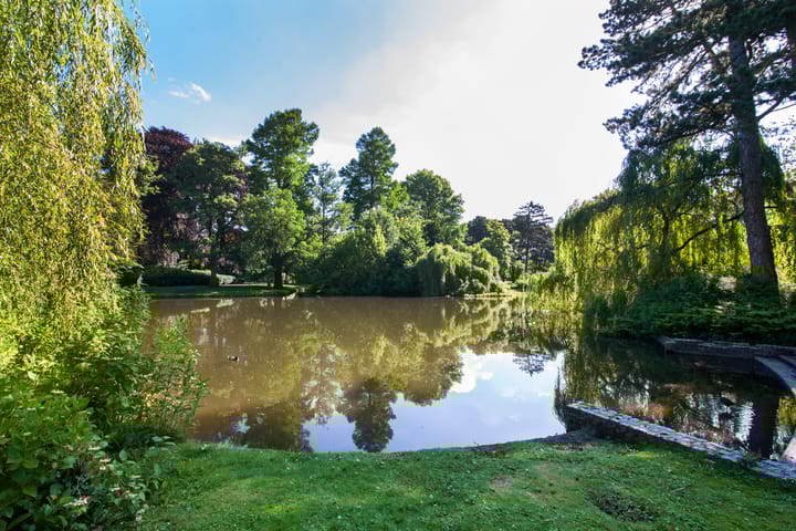 Foto 42 van Govert Flinckstraat 2