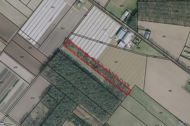 Witveldweg, Grubbenvorst