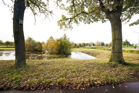 Rimpelerweg 104 secondary image