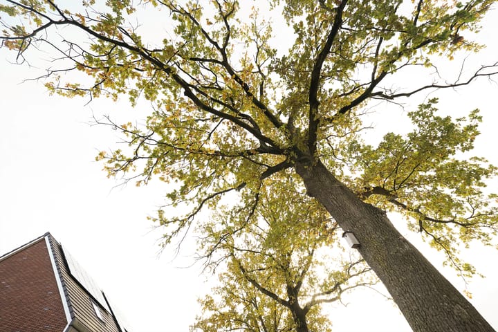 Photo 71 of Rimpelerweg 104