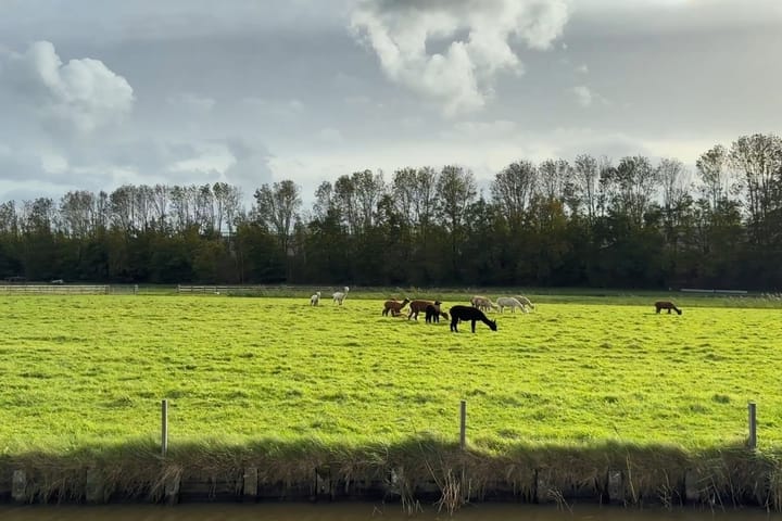 Foto 46 van Grutto 7