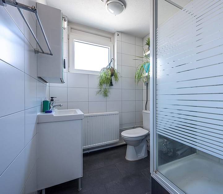 Foto 23 van Insula 30