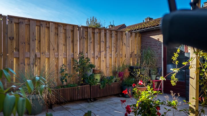 Foto 28 van Insula 30