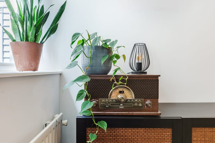 Foto 22 van Feike de Boerlaan 142