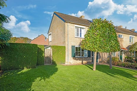 undefined main image