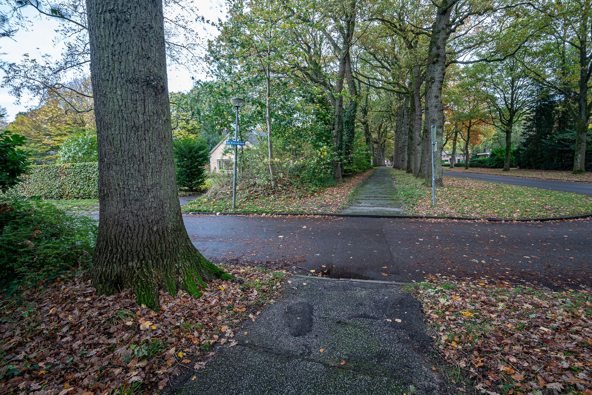 Photo 6 of De Esstukken 22