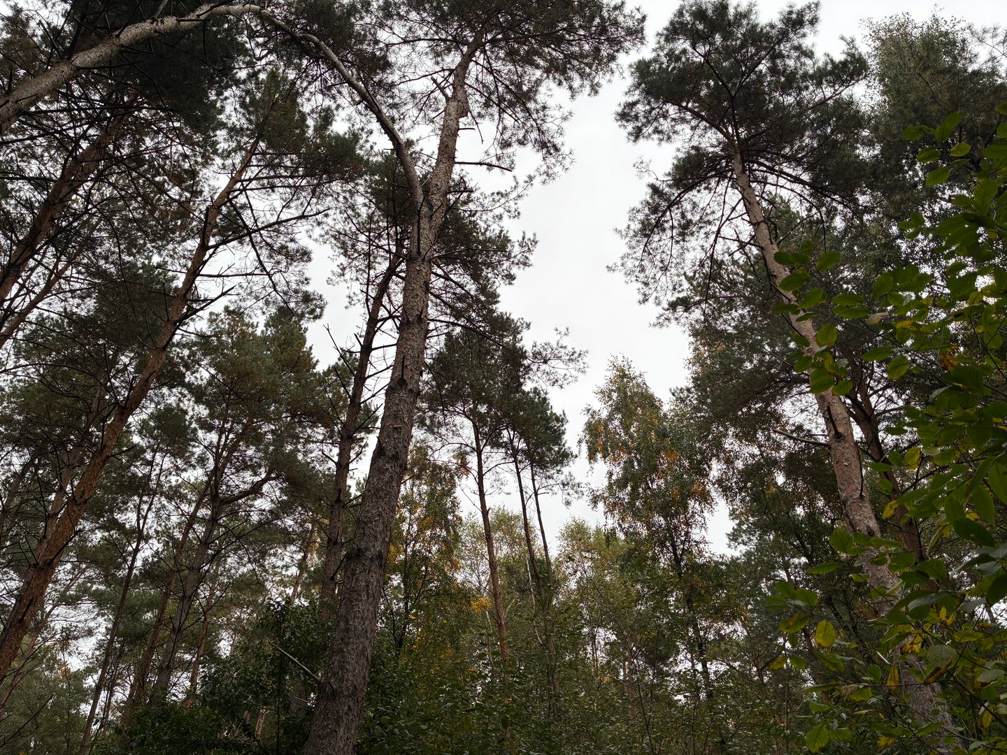 View photo 3 of Meerlosebaan