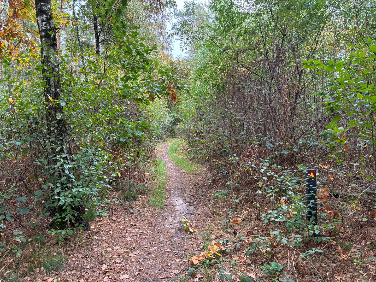 View photo 4 of Meerlosebaan