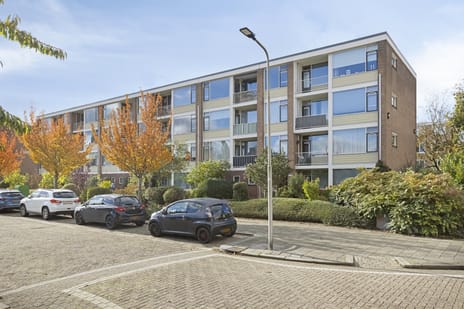 Gerard Doustraat thumbnail