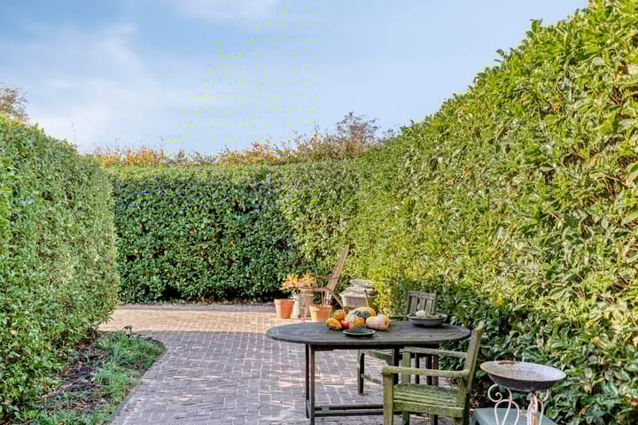 Foto 36 van Oostrikkerstraat 14