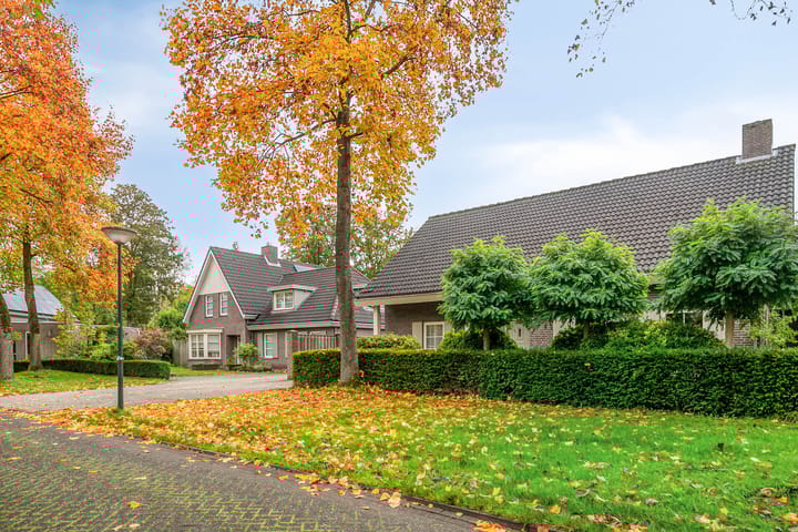 Photo 33 of Het Aangelag 9