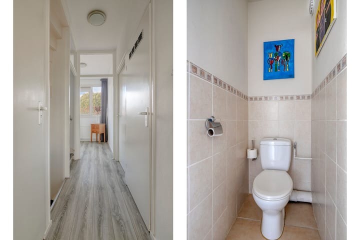 Photo 17 of Ranonkelstraat 5