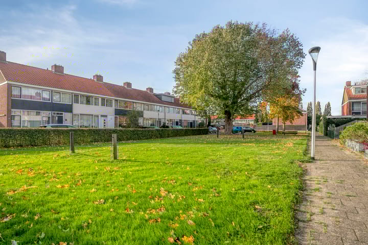 Photo 38 of Ranonkelstraat 5