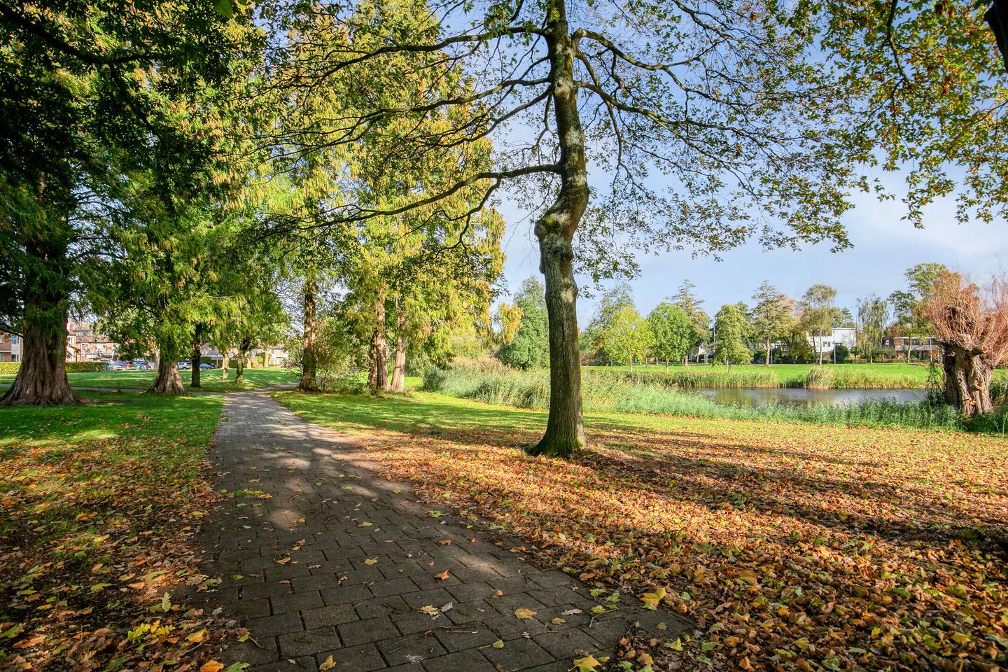 Foto 40 van Cassandraplein 44