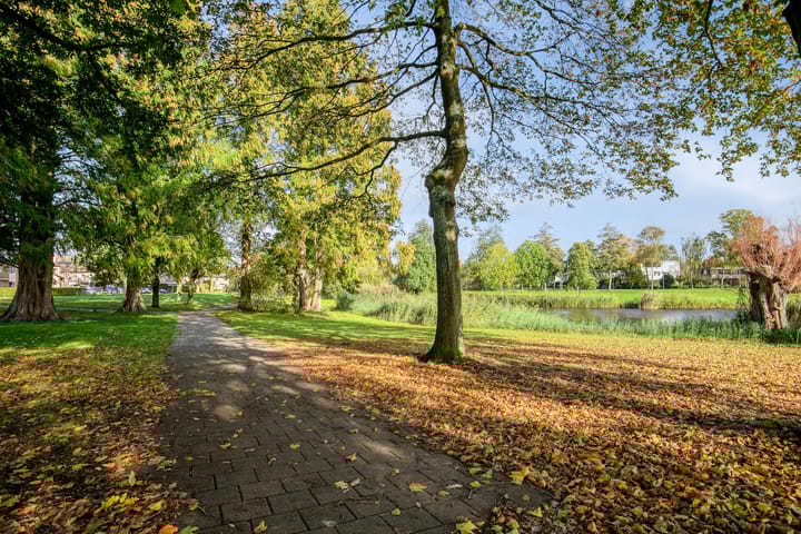 Foto 40 van Cassandraplein 44