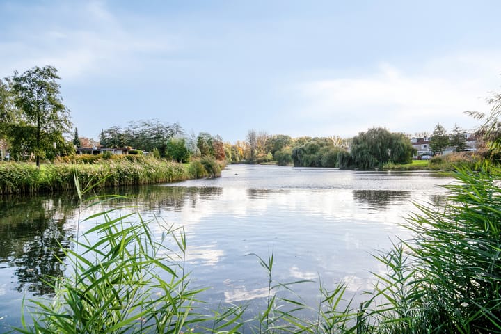 Foto 42 van Cassandraplein 44